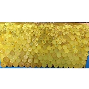 Cây nhựa PU màu vàng