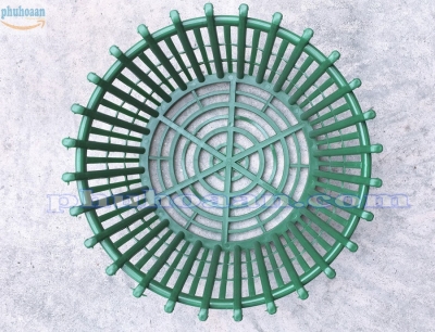 Chậu nhựa trồng lan