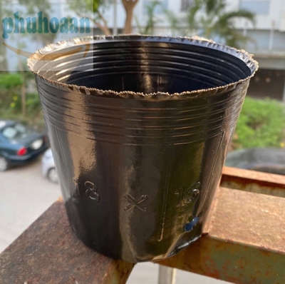 Cốc mềm ươm cây