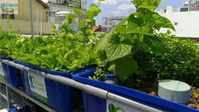 Hệ thống trồng rau nuôi cá sạch aquaponics 8 khay to chất lượng cao giá rẻ Phú Hòa An