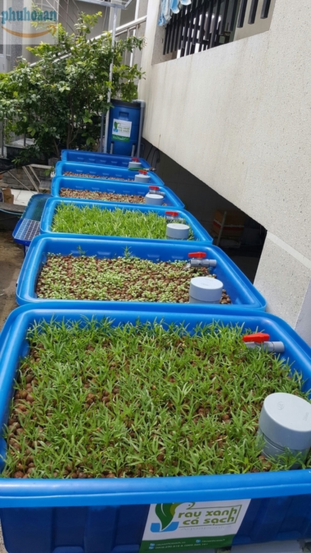 Hệ thống trồng rau nuôi cá sạch aquaponics 6 khay to chất lượng cao giá rẻ Phú Hòa An