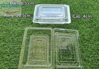 Hộp nhựa H06S