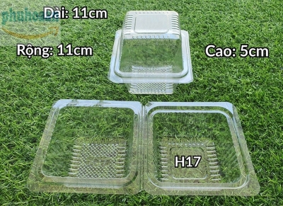 Hộp nhựa H17