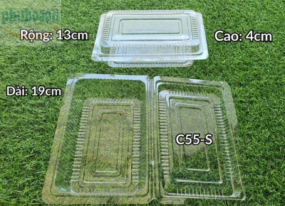Hộp nhựa C55S