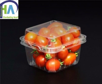 Hộp nhựa đựng cà chua bi P250A