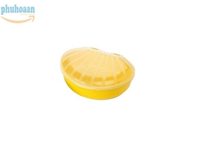 Hộp nhựa hình con sò size lớn TLT