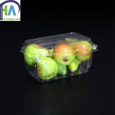 Hộp nhựa đựng lê P500B