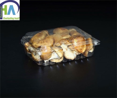 Hộp nhựa đựng nấm P500CX