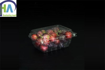 Hộp nhựa đựng nho P500C