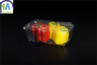 Hộp nhựa đựng ớt ngọt P1000B