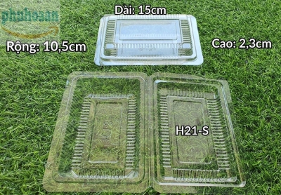 Hộp nhựa H21S