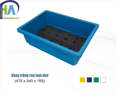 Khay trồng sau rau loại bé