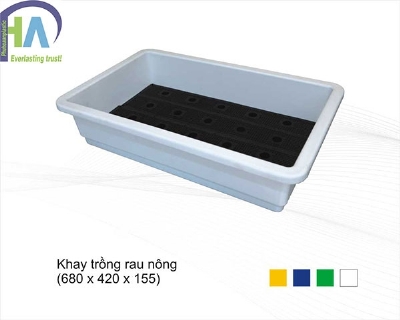 Khay trồng rau nông