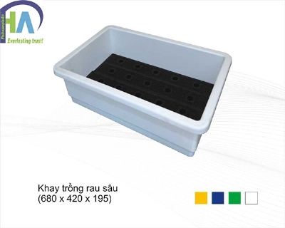Khay trồng rau sâu