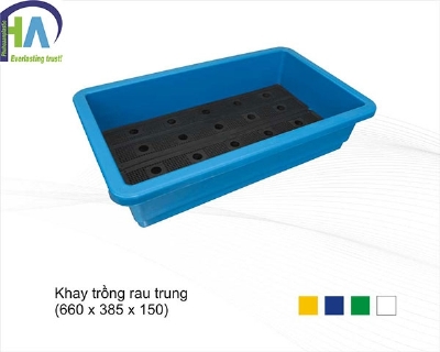 Khay trồng rau trung