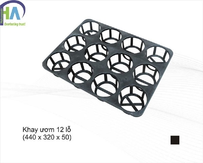 Khay ươm hạt 12 lỗ