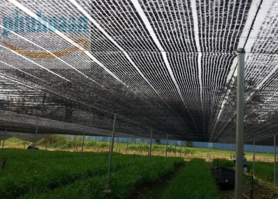 Lưới che nắng ngoài trời cho cây