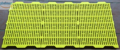 Tấm nhựa lót sàn màu vàng cao cấp