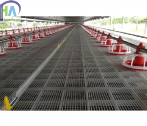 Tấm nhựa lót sàn chăn nuôi 50x100cm