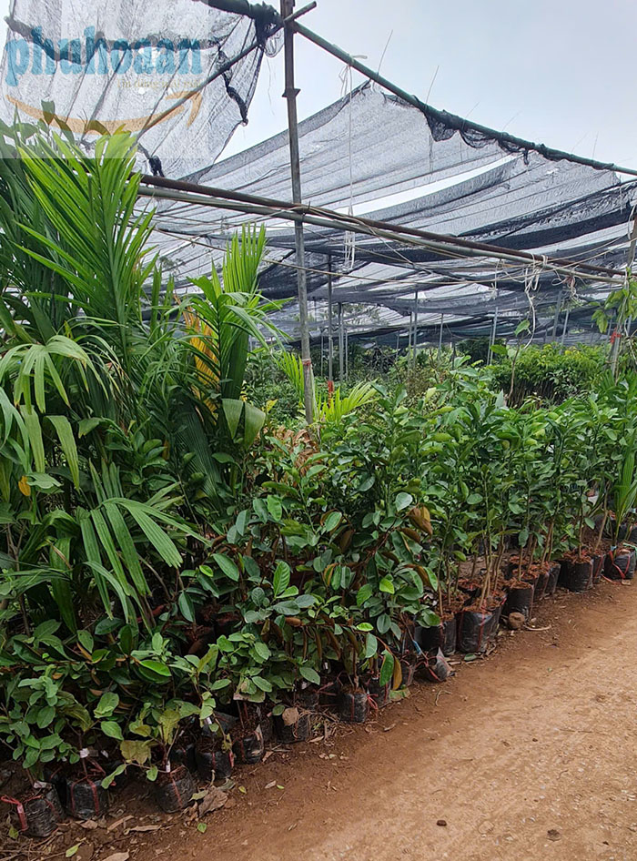 Lưới che nắng ngoài trời giá rẻ