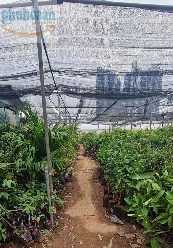 Lưới che nắng ngoài trời giá rẻ