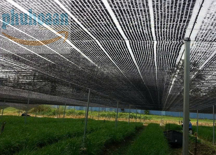 Bán lưới che nắng cho hoa giá rẻ
