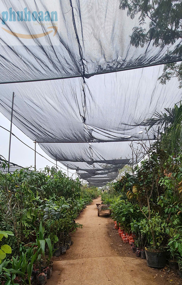 Lưới che nắng ngoài trời giá rẻ